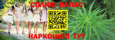 a pvp Кингисепп