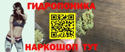 бошки Кинель