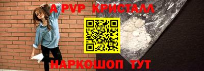a pvp Кингисепп