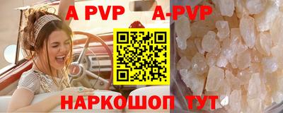 a pvp Кингисепп