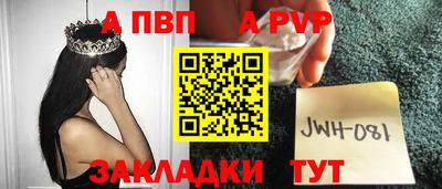 a pvp Кингисепп