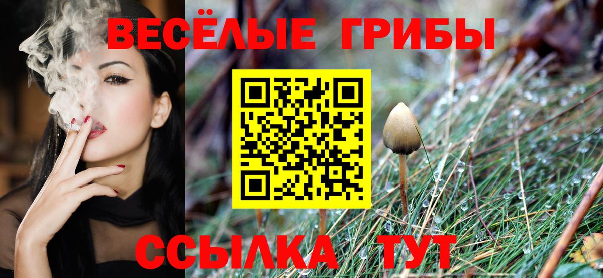 Галлюциногенные грибы Magic Shrooms Коряжма