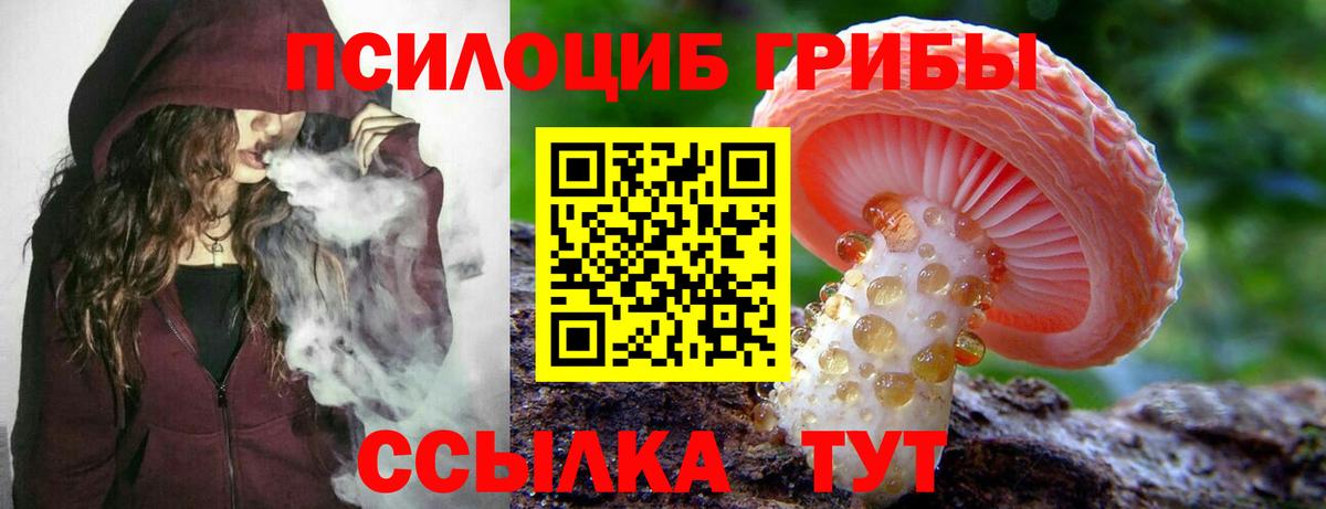 Псилоцибиновые грибы GOLDEN TEACHER  Вход с VPN  Коряжма 