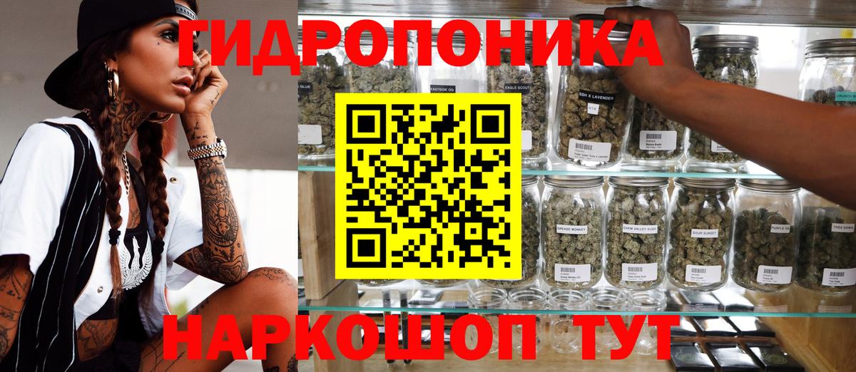 Каннабис OG Kush Коряжма
